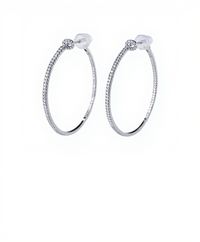 Crystal Encrusted Hoop Earrings